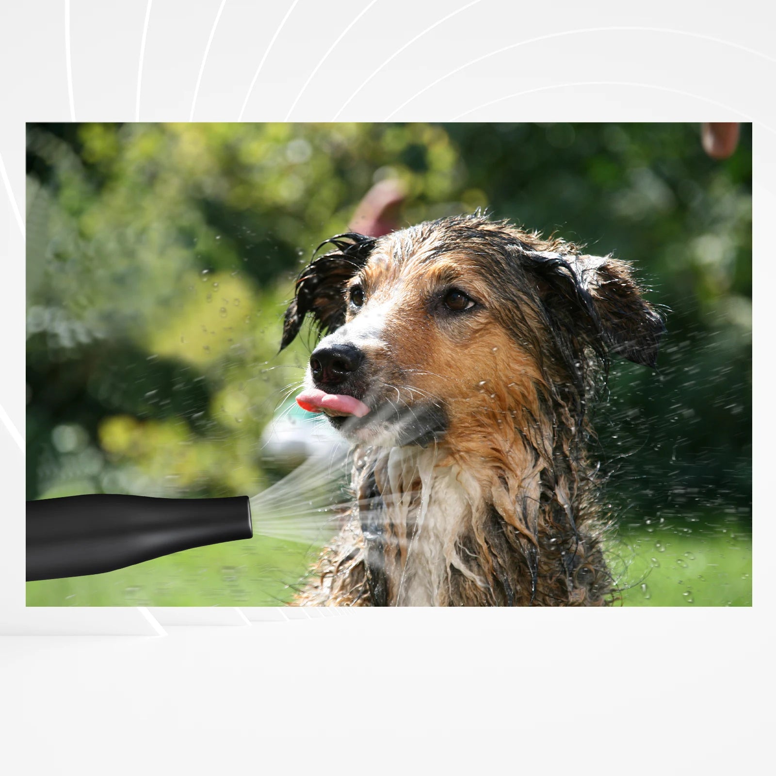 Profi Dog Hair Dryer Blower 3500