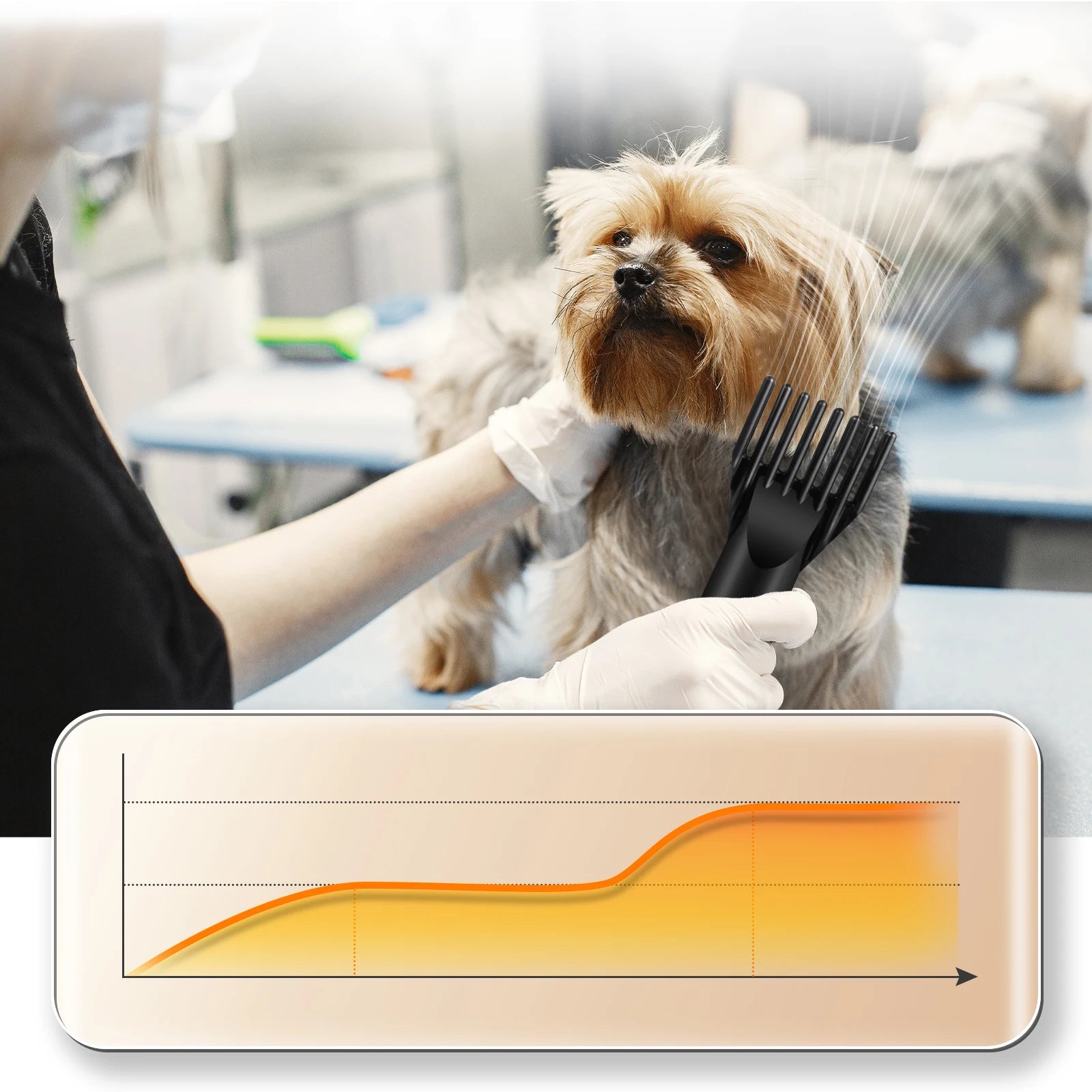 Profi Dog Hair Dryer Blower 3500