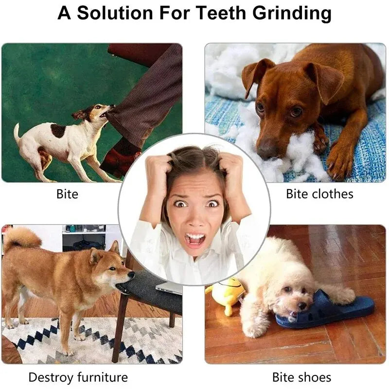 Dog Toy Ball, Nontoxic Bite Resistant