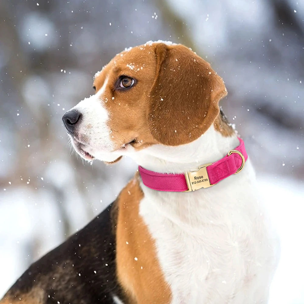 Personalized Velvet Dog Collar Super Soft