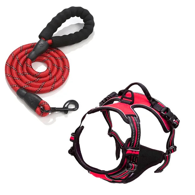 Dog Collars Harness Big Vests Leash
