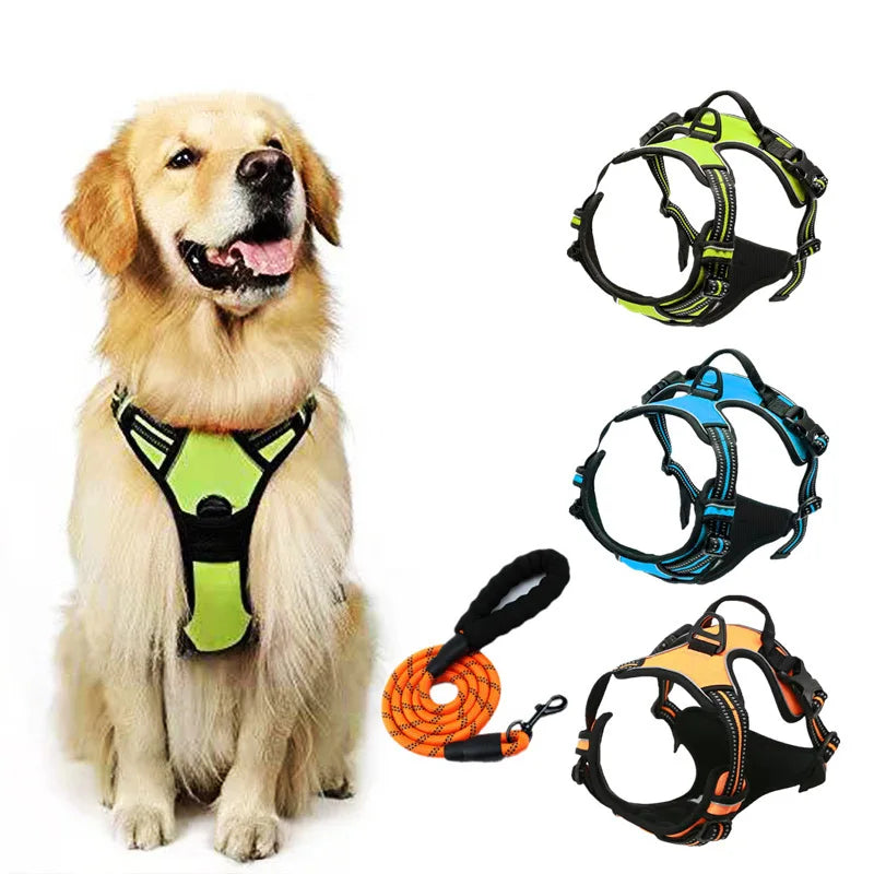 Dog Collars Harness Big Vests Leash