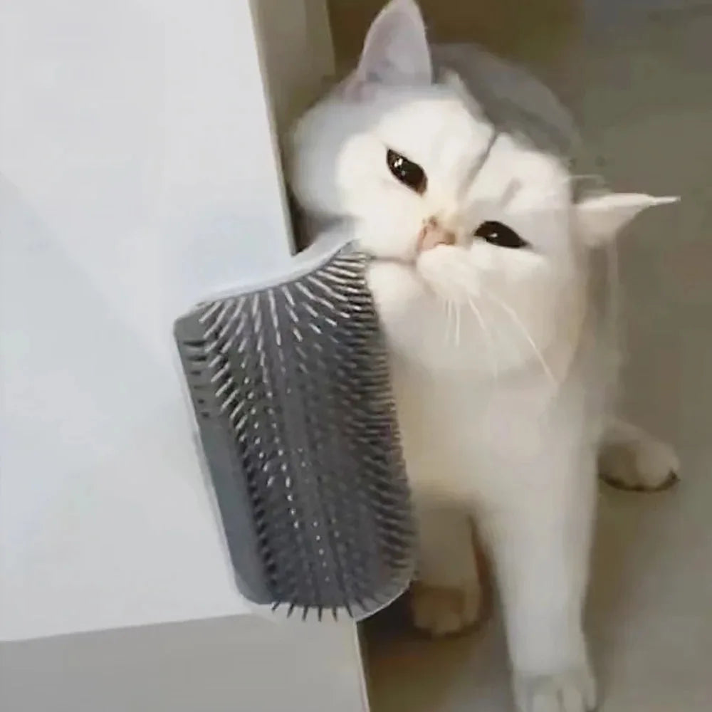 Pet Brush Comb Play Cat Toy