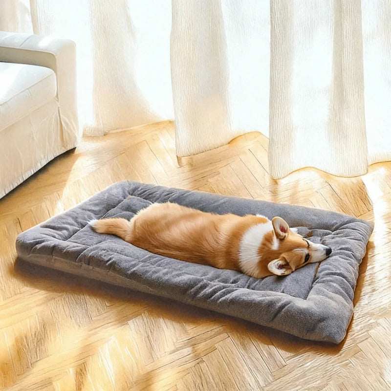 BOOTEELY Extra Large Plush Dog Bed