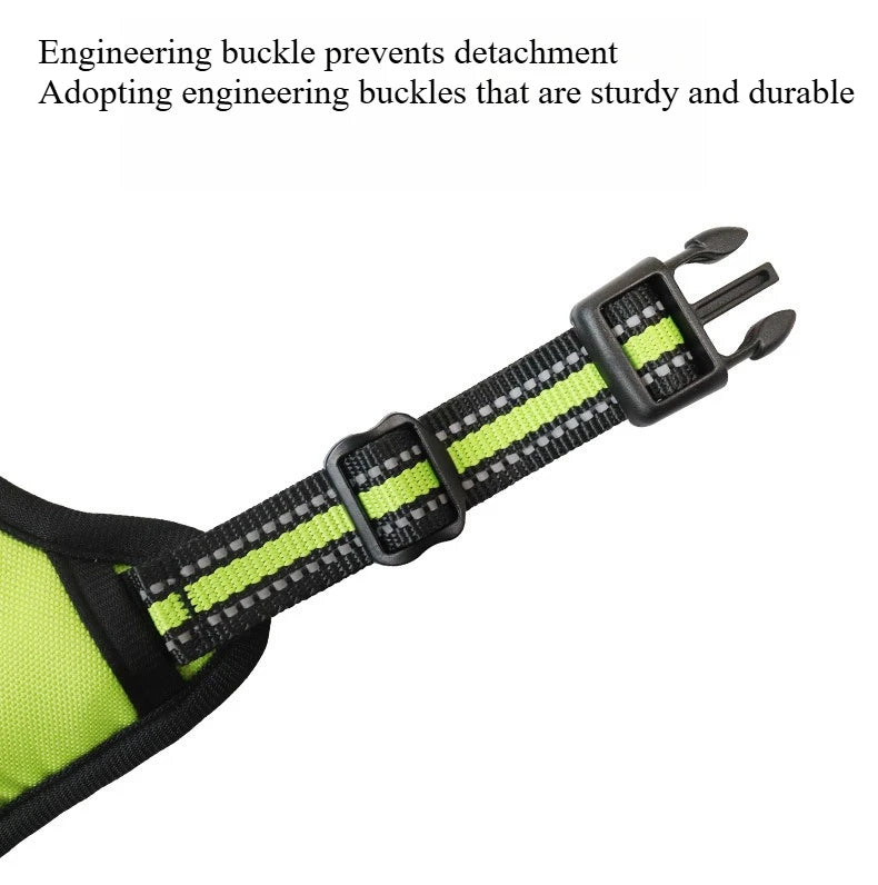 Dog Collars Harness Big Vests Leash