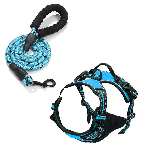 Dog Collars Harness Big Vests Leash