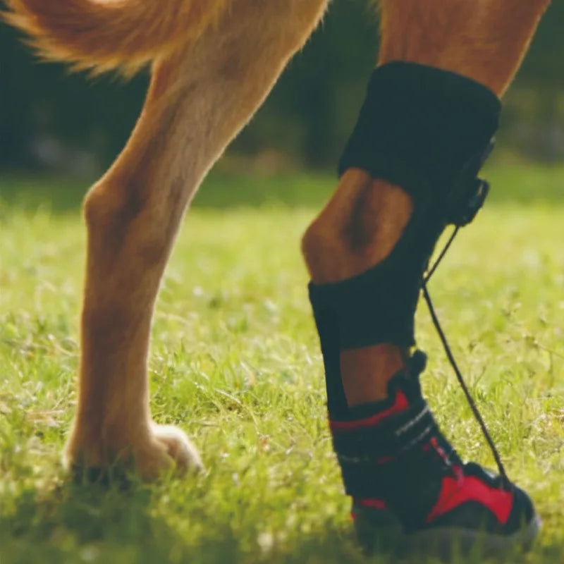 Dog Shoes Dirty Proof Anti Drop