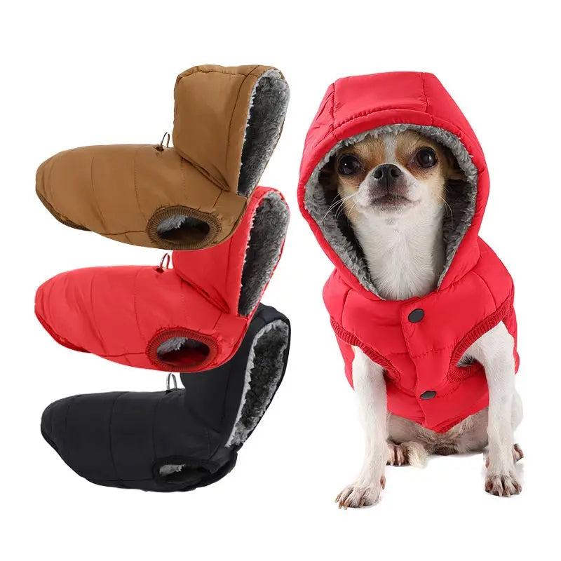 New Pet Dog Clothes Jacket Autumn