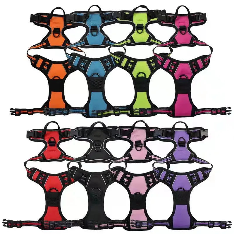 Dog Collars Harness Big Vests Leash
