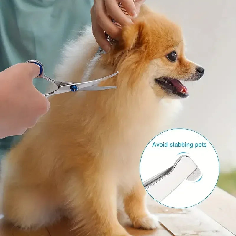 Ambidextrous Pet Safe Scissors Stainless Steel