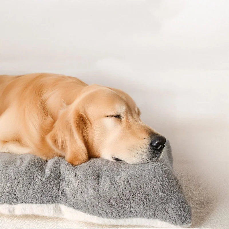 BOOTEELY Extra Large Plush Dog Bed