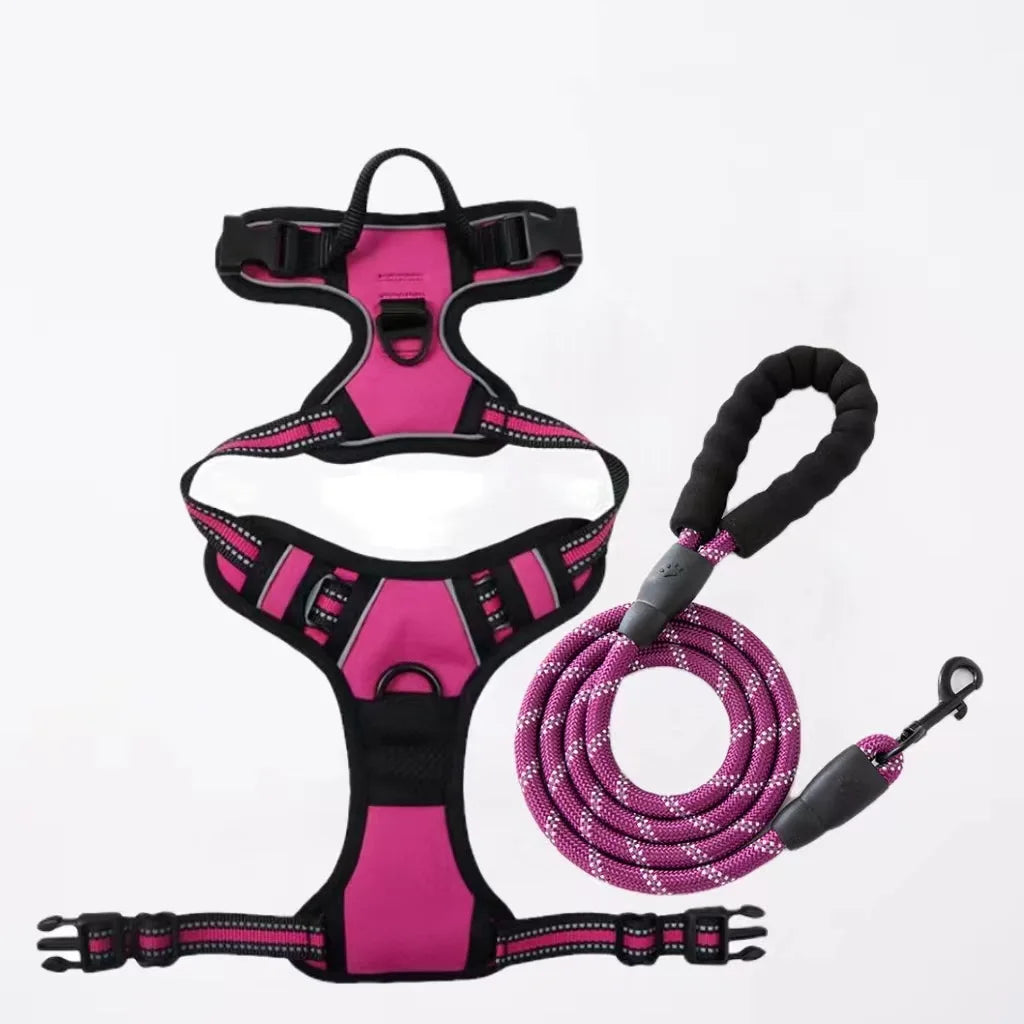 Dog Collars Harness Big Vests Leash