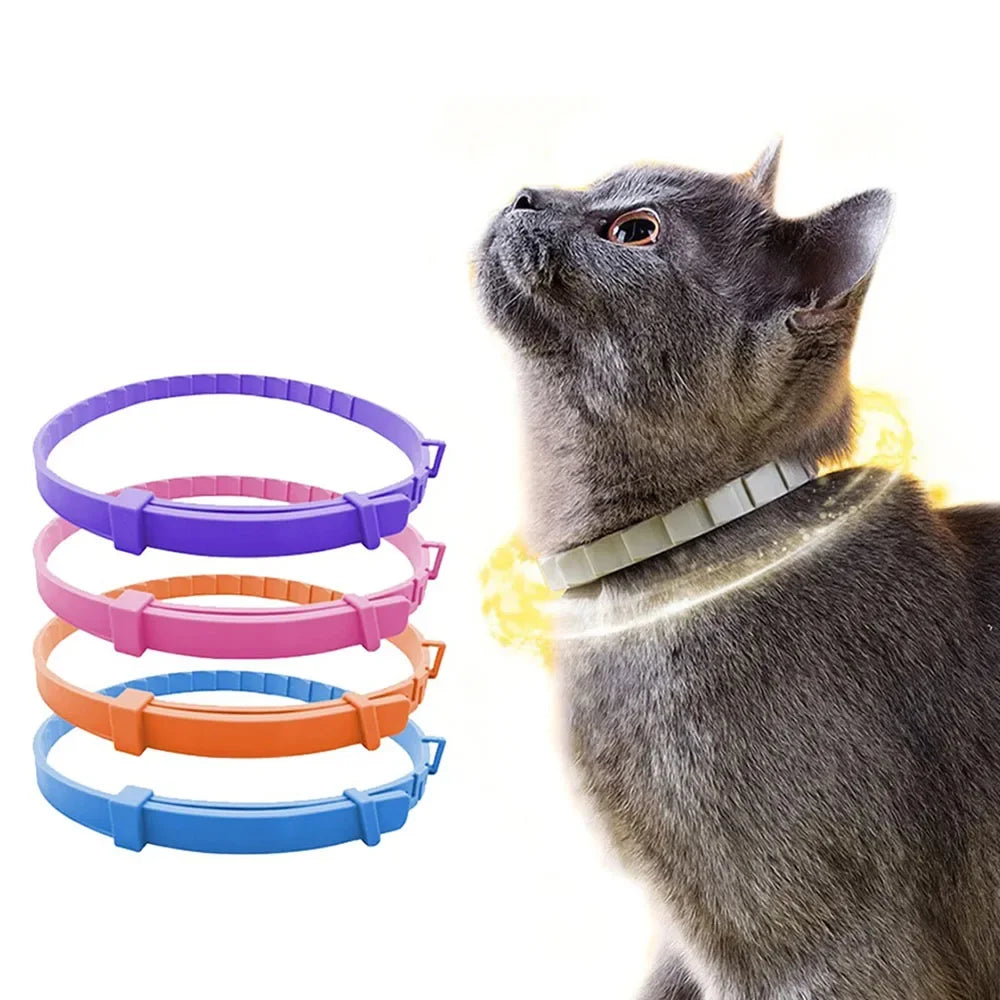 Adjustable Plastic Dog Collar Waterproof Pet