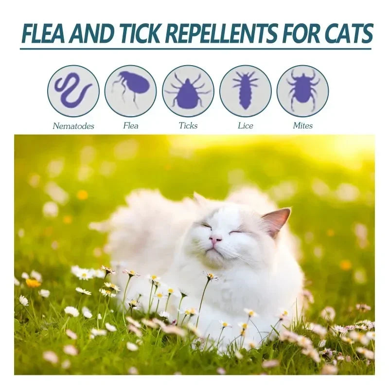 50ml Pet Anti Flea Tick Agent