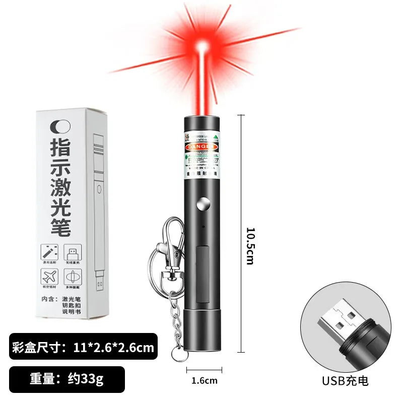 Pet Laser Pointer & LED Flashlight
