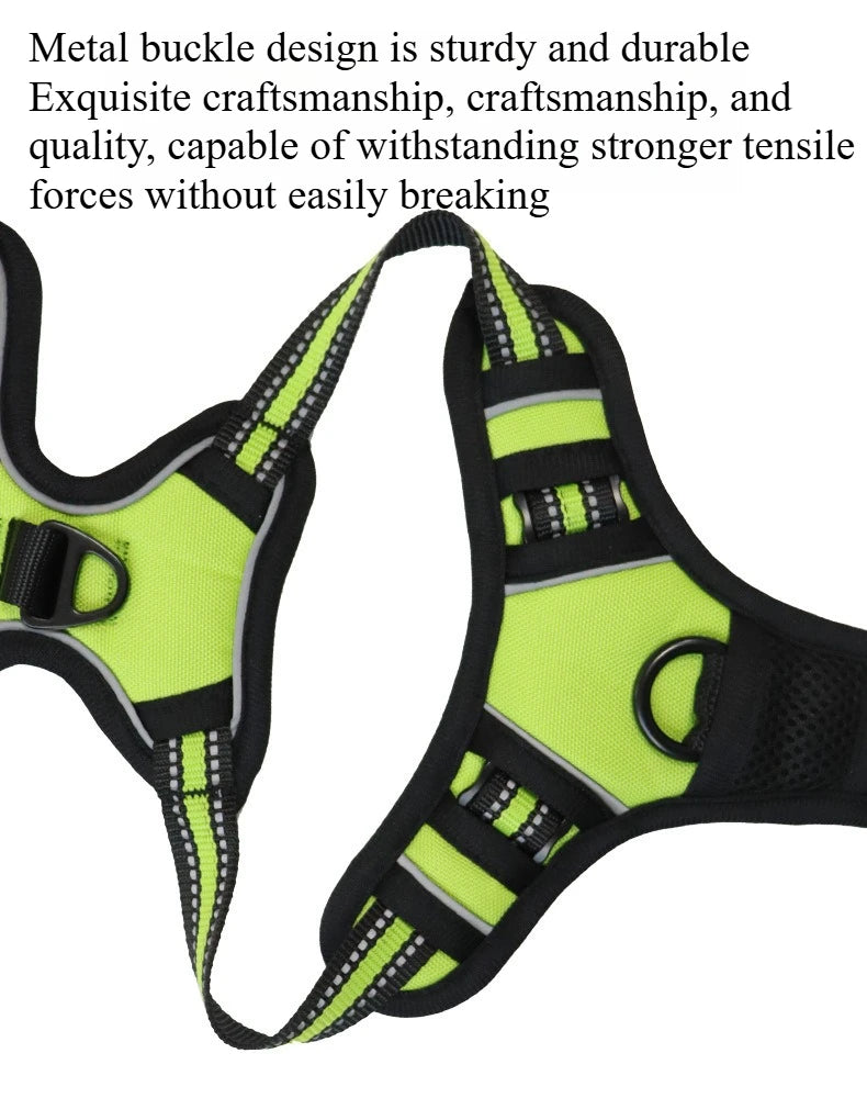 Dog Collars Harness Big Vests Leash
