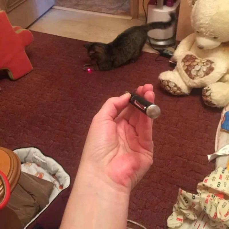 Pet Laser Pointer & LED Flashlight
