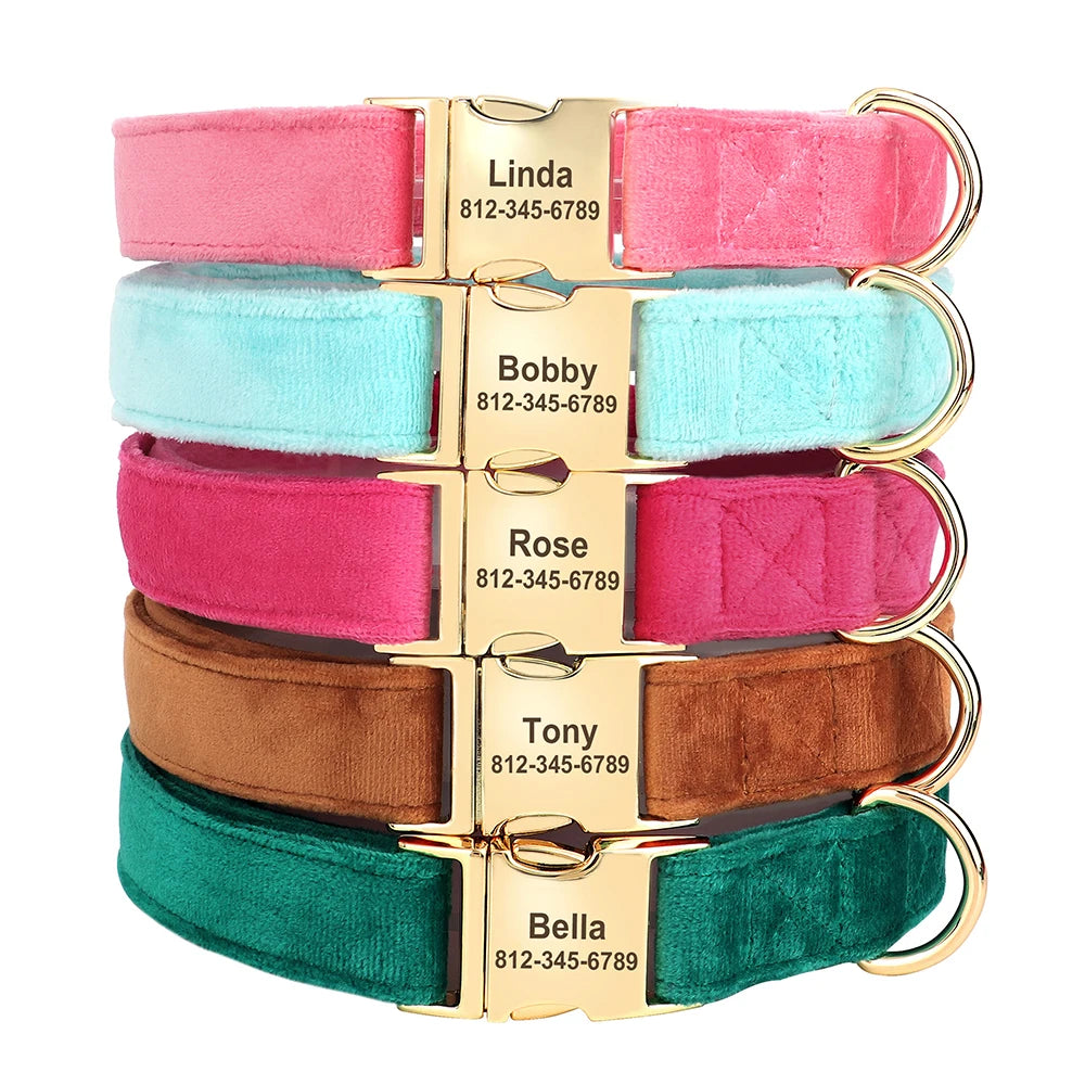 Personalized Velvet Dog Collar Super Soft