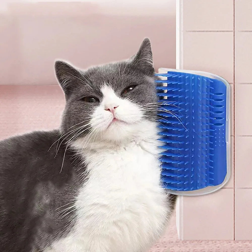 Pet Brush Comb Play Cat Toy