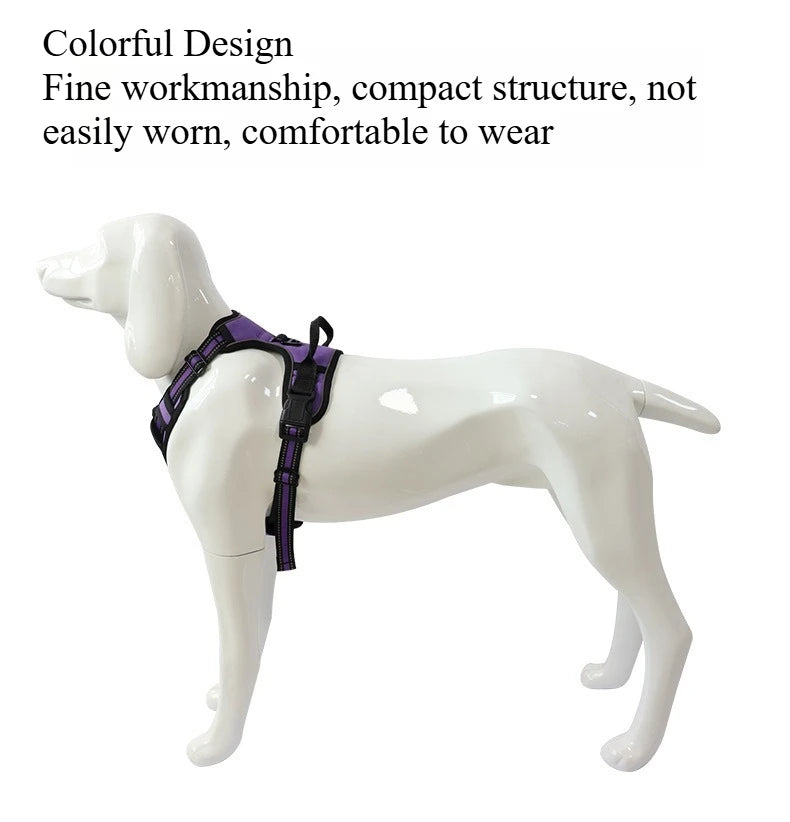 Dog Collars Harness Big Vests Leash