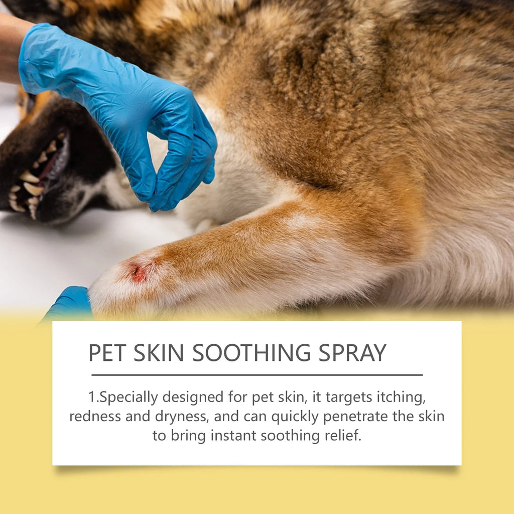 Pet Skin Care Spray Relieve Discomfort