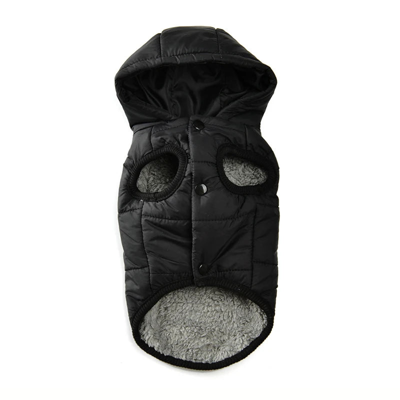 New Pet Dog Clothes Jacket Autumn