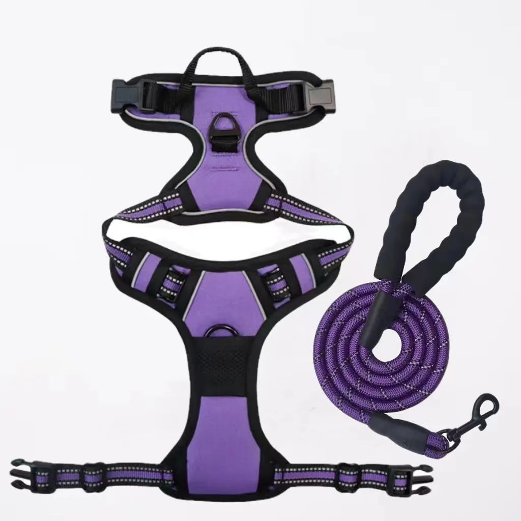 Dog Collars Harness Big Vests Leash